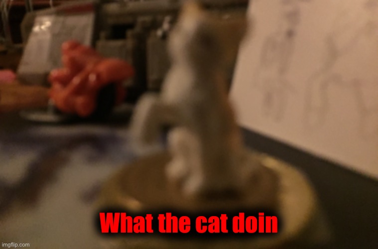 What the cat doin | made w/ Imgflip meme maker