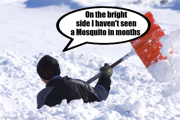 Blizzard | On the bright side I haven't seen a Mosquito in months | image tagged in blizzard | made w/ Imgflip meme maker