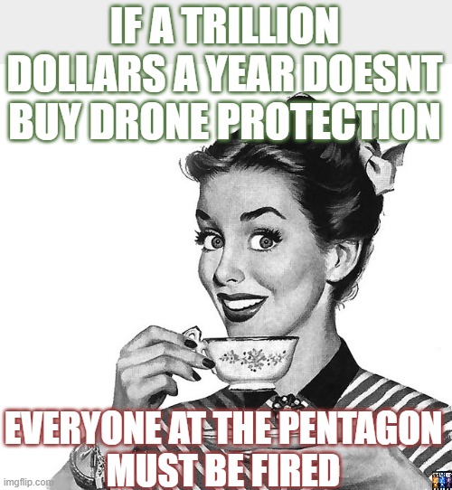 drone wars | IF A TRILLION DOLLARS A YEAR DOESNT BUY DRONE PROTECTION; EVERYONE AT THE PENTAGON
MUST BE FIRED | image tagged in retro woman teacup,murder drones,drone,drones | made w/ Imgflip meme maker