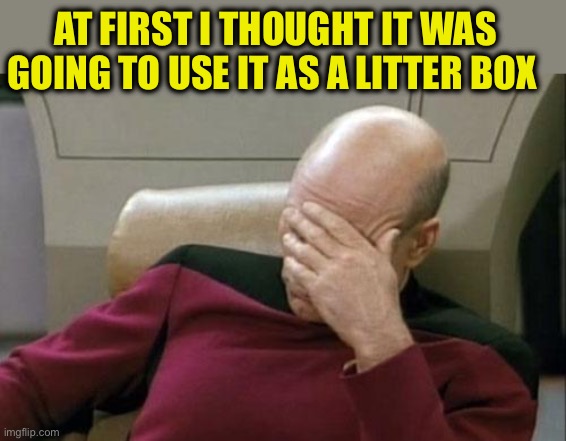 Captain Picard Facepalm Meme | AT FIRST I THOUGHT IT WAS GOING TO USE IT AS A LITTER BOX | image tagged in memes,captain picard facepalm | made w/ Imgflip meme maker