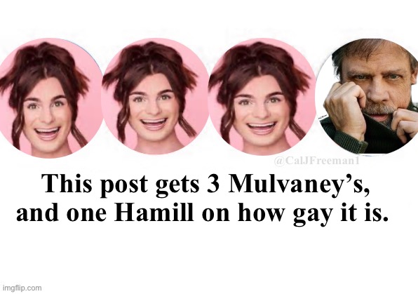 Rank a post with this… | This post gets 3 Mulvaney’s, and one Hamill on how gay it is. | image tagged in dylan,lgbtq,gay pride,gay jokes,maga,transphobic | made w/ Imgflip meme maker