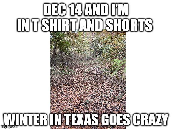 That photo actually from today I took it | DEC 14 AND I’M IN T SHIRT AND SHORTS; WINTER IN TEXAS GOES CRAZY | image tagged in blank white template | made w/ Imgflip meme maker