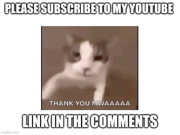 Please subscribe | PLEASE SUBSCRIBE TO MY YOUTUBE; LINK IN THE COMMENTS | image tagged in please help me | made w/ Imgflip meme maker