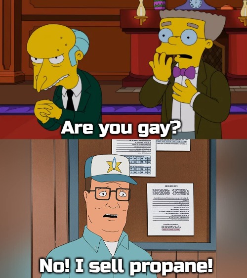 propane sexual | Are you gay? No! I sell propane! | image tagged in hank hill,simpsons | made w/ Imgflip meme maker