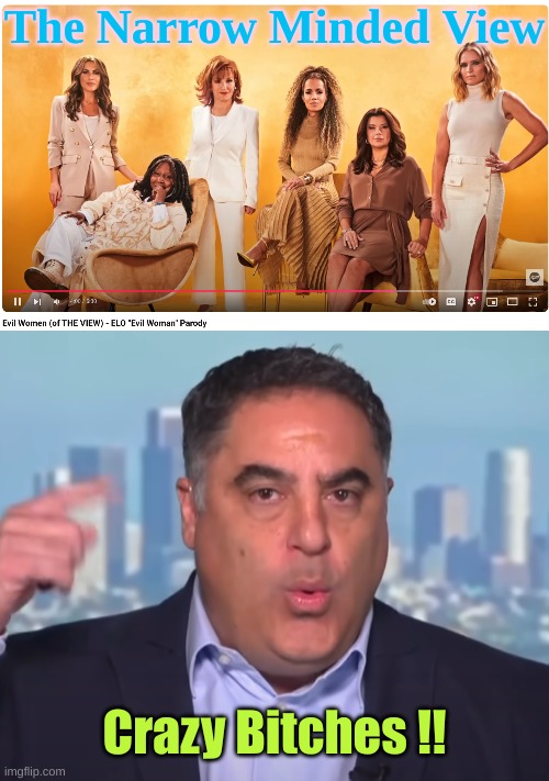 We all know these "Women" are utterly stupid | The Narrow Minded View; Crazy Bitches !! | image tagged in cuckoo bitches on the view,crazy cenk | made w/ Imgflip meme maker