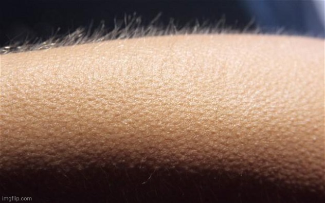 Goosebumps | image tagged in goosebumps | made w/ Imgflip meme maker