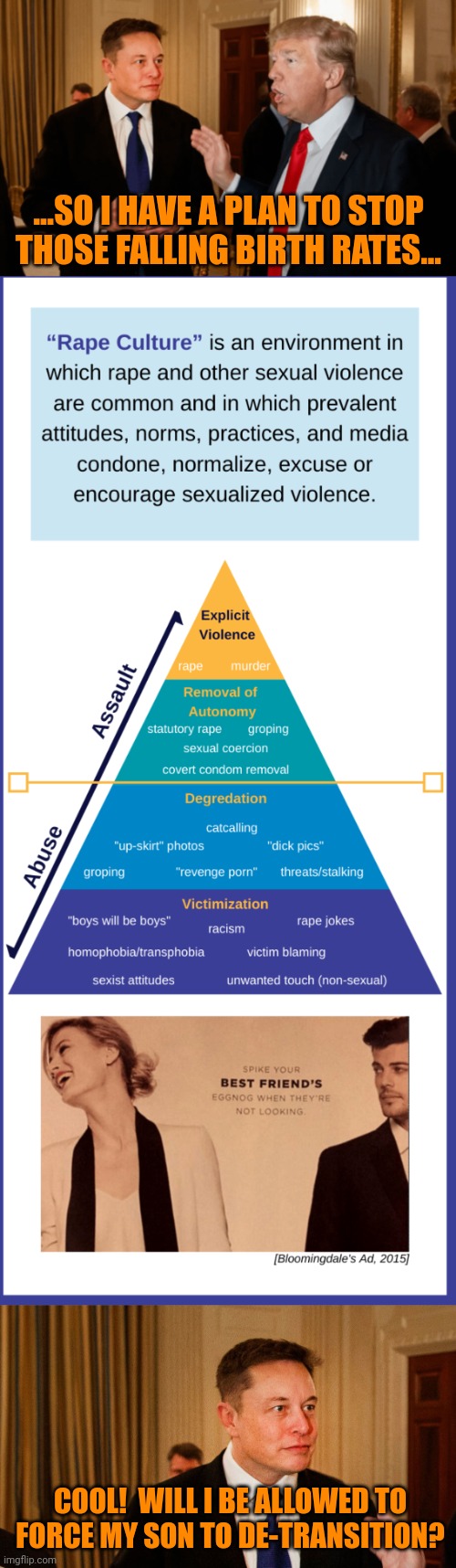 ...SO I HAVE A PLAN TO STOP THOSE FALLING BIRTH RATES... COOL!  WILL I BE ALLOWED TO FORCE MY SON TO DE-TRANSITION? | image tagged in trump and elon musk,rape culture,finance capitalism,government corruption,pathocracy | made w/ Imgflip meme maker