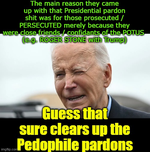 Record Holding PARDONER in Chief | The main reason they came up with that Presidential pardon shit was for those prosecuted / PERSECUTED merely because they were close friends / confidants of the POTUS 
(e.g. ROGER STONE with Trump); Guess that sure clears up the Pedophile pardons | image tagged in biden pardon king meme | made w/ Imgflip meme maker