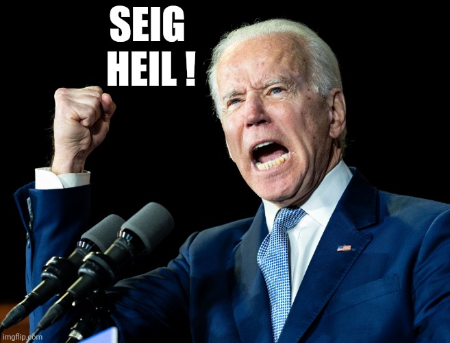 Joe Biden's fist | SEIG 
HEIL ! | image tagged in joe biden's fist | made w/ Imgflip meme maker