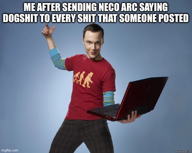 sheldon cooper laptop | ME AFTER SENDING NECO ARC SAYING DOGSHIT TO EVERY SHIT THAT SOMEONE POSTED | image tagged in sheldon cooper laptop | made w/ Imgflip meme maker