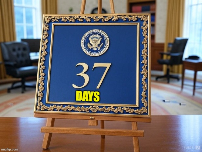 37 days left | DAYS | image tagged in trump,donald trump,potus,fjb,trump inauguration,inauguration | made w/ Imgflip meme maker