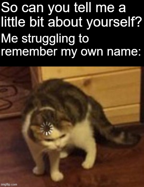 Loading cat | So can you tell me a little bit about yourself? Me struggling to remember my own name: | image tagged in loading cat,relatable | made w/ Imgflip meme maker