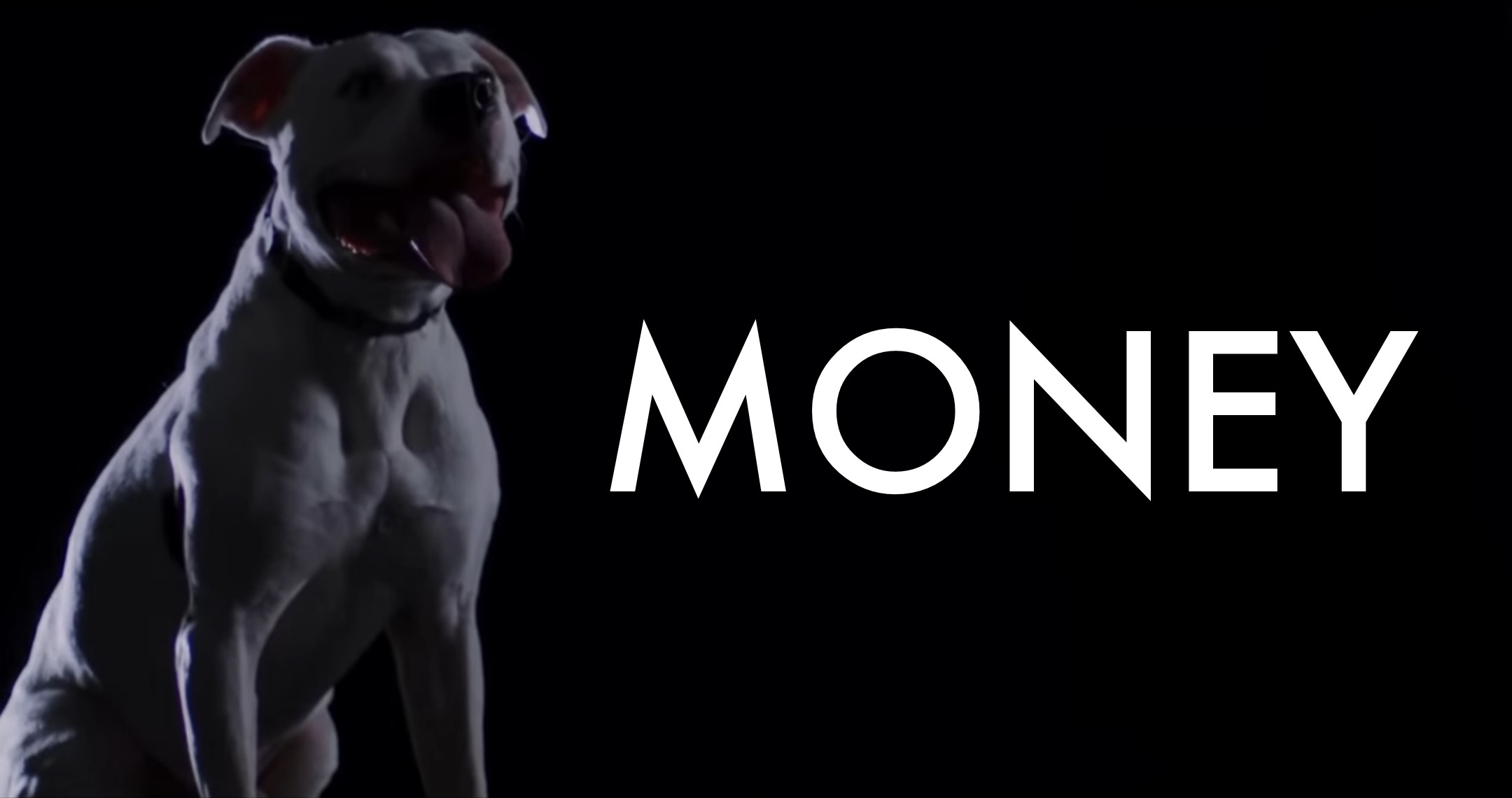 Roger Waters - Money “Dog” Blank Meme Template