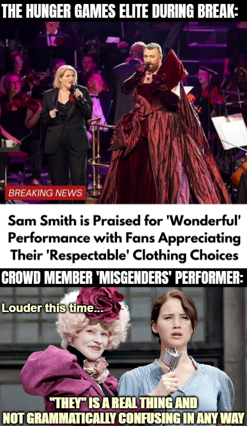 Had to make this as well. Inspirational people eh | CROWD MEMBER 'MISGENDERS' PERFORMER: | image tagged in the hunger games,gender identity,funny,sarcasm | made w/ Imgflip meme maker