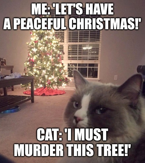 I feel something in the air | ME: 'LET'S HAVE A PEACEFUL CHRISTMAS!'; CAT: 'I MUST MURDER THIS TREE!' | image tagged in disaster cat,funny,funny memes,fun,cats | made w/ Imgflip meme maker