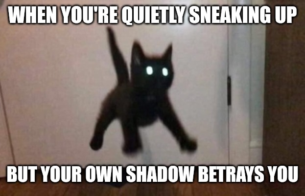 YOU SFB! | WHEN YOU'RE QUIETLY SNEAKING UP; BUT YOUR OWN SHADOW BETRAYS YOU | image tagged in evil cat,funny,funny memes,fun,cats | made w/ Imgflip meme maker