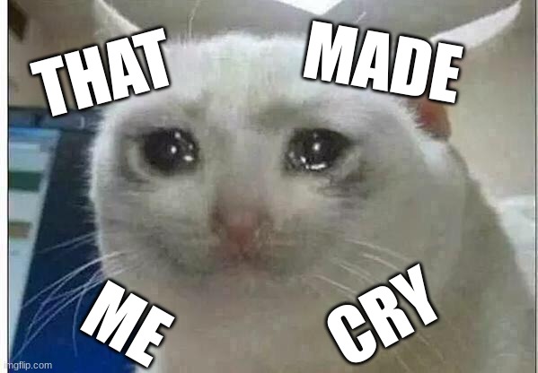 crying cat | THAT CRY ME MADE | image tagged in crying cat | made w/ Imgflip meme maker