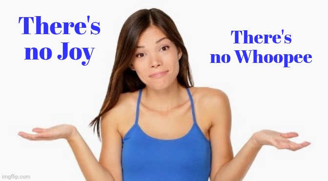 There's no Joy There's no Whoopee | made w/ Imgflip meme maker