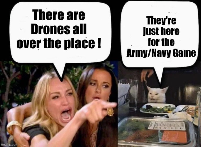 Don't eat the Cat | There are Drones all over the place ! They're just here for the Army/Navy Game | image tagged in don't eat the cat | made w/ Imgflip meme maker