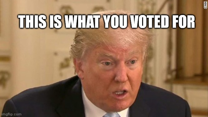 Trump Stupid Face | THIS IS WHAT YOU VOTED FOR | image tagged in trump stupid face | made w/ Imgflip meme maker