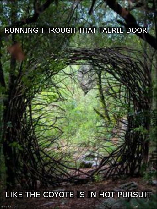 Faerie Door | RUNNING THROUGH THAT FAERIE DOOR; LIKE THE COYOTE IS IN HOT PURSUIT | image tagged in faerie,fairy,portal,roadrunner,coyote | made w/ Imgflip meme maker