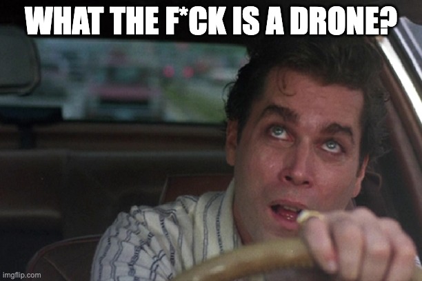 Drones in New Jersey | WHAT THE F*CK IS A DRONE? | image tagged in drones,goodfellas,good fellas hilarious | made w/ Imgflip meme maker