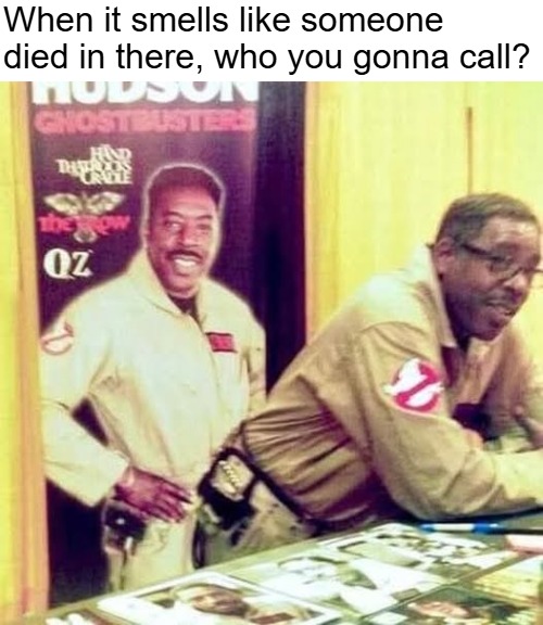 When it smells like someone died in there, who you gonna call? | image tagged in funny,dirty mind,ghostbusters | made w/ Imgflip meme maker