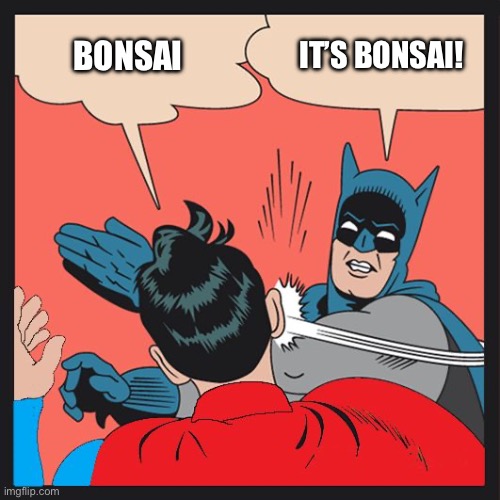 Its bonsai | IT’S BONSAI! BONSAI | image tagged in batman slapping superman | made w/ Imgflip meme maker