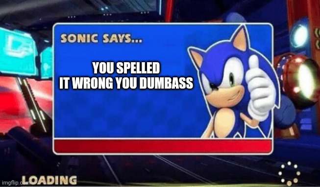 Sonic Says | YOU SPELLED IT WRONG YOU DUMBASS | image tagged in sonic says | made w/ Imgflip meme maker