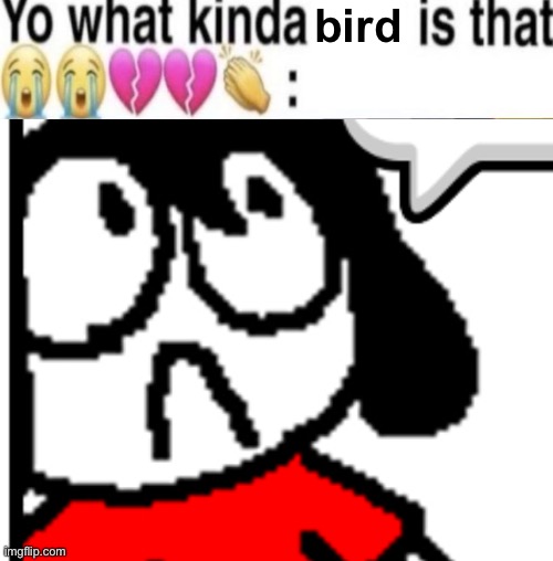 bird | made w/ Imgflip meme maker