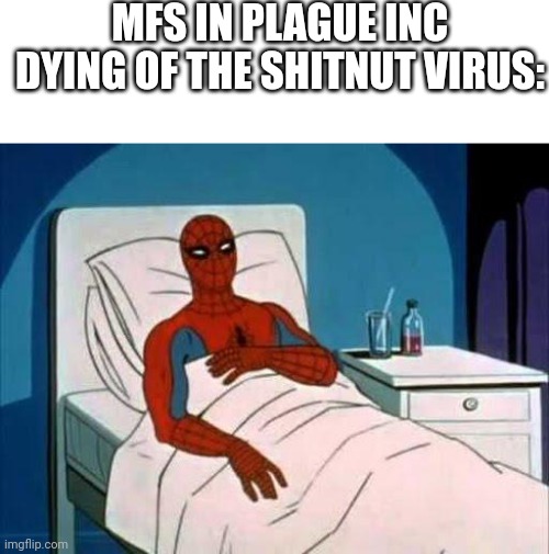 Spiderman in Hospital | MFS IN PLAGUE INC DYING OF THE SHITNUT VIRUS: | image tagged in spiderman in hospital | made w/ Imgflip meme maker