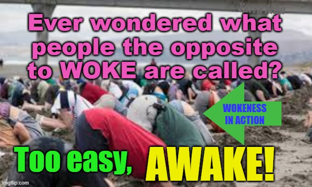 Ever wondered what the people who are the opposite to WOKE are called? Too Easy! | Yarra Man; Ever wondered what people the opposite to WOKE are called? WOKENESS IN ACTION; Too easy, AWAKE! | image tagged in harry n meghan,democrats,labour,labor,progressives,self gratification by proxy | made w/ Imgflip meme maker