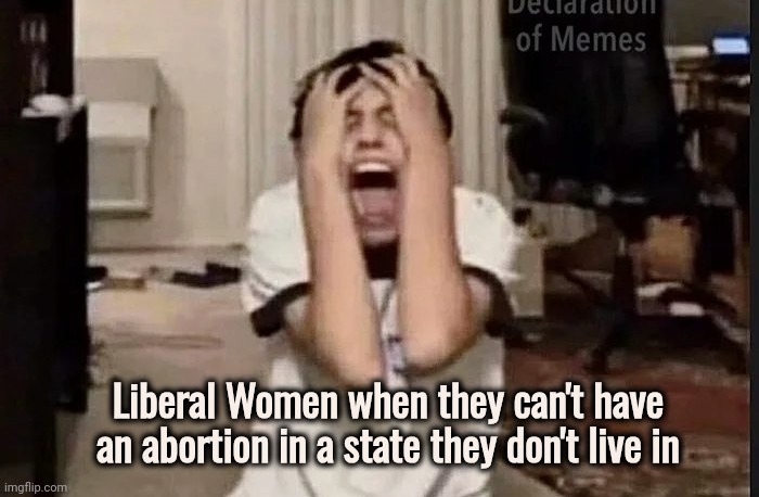 The Collective Hive Mind | Liberal Women when they can't have an abortion in a state they don't live in | image tagged in liberal logic,lunatic fringe,kill it with fire,personal responsibility,well yes but actually no | made w/ Imgflip meme maker