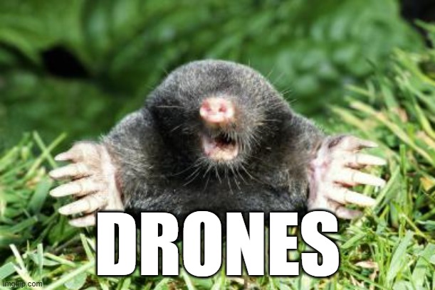 Ello Mole "Drones" | DRONES | image tagged in mole,drones | made w/ Imgflip meme maker