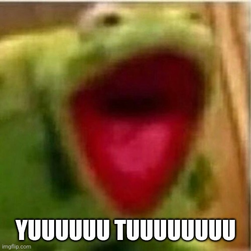 AHHHHHHHHHHHHH | YUUUUUU TUUUUUUUU | image tagged in ahhhhhhhhhhhhh | made w/ Imgflip meme maker