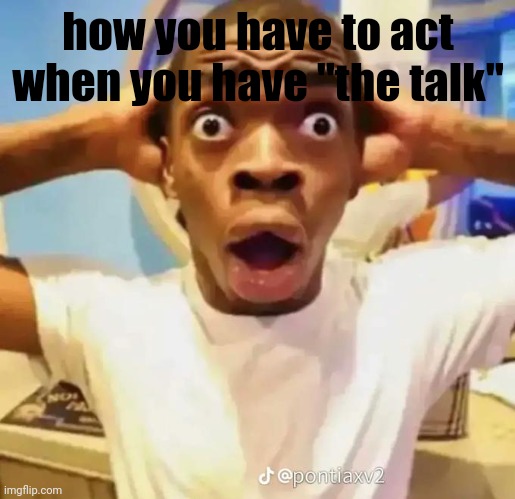 Shocked black guy | how you have to act when you have "the talk" | image tagged in shocked black guy | made w/ Imgflip meme maker