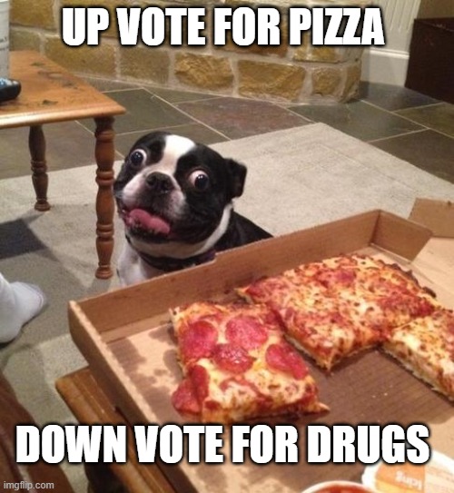 Hungry Pizza Dog | UP VOTE FOR PIZZA; DOWN VOTE FOR DRUGS | image tagged in hungry pizza dog,upvote | made w/ Imgflip meme maker