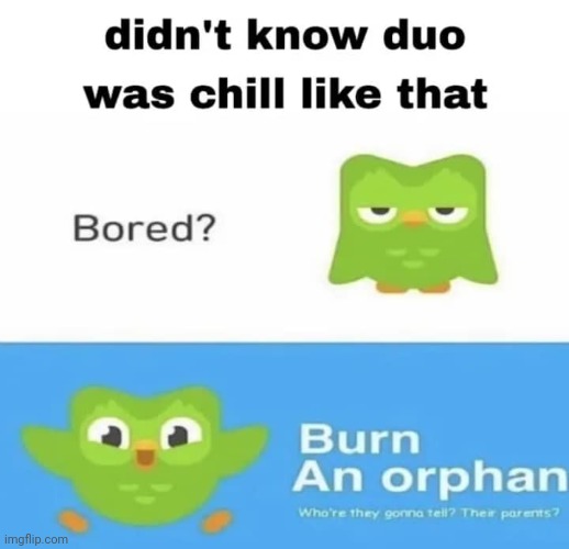 Do it. They cant tell anybody. | image tagged in duolingo,cursed humor,orphan | made w/ Imgflip meme maker