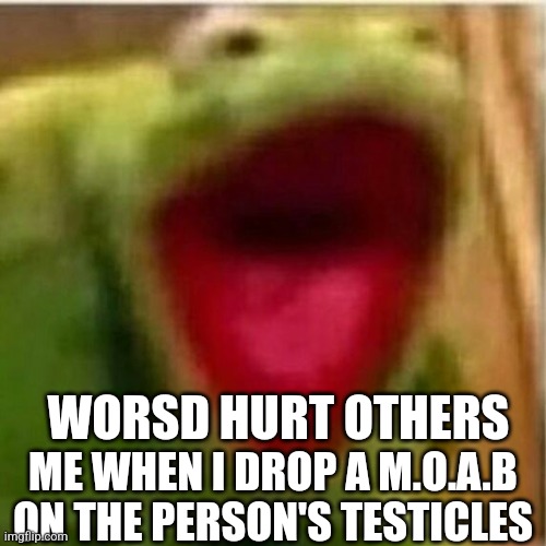 AHHHHHHHHHHHHH | ME WHEN I DROP A M.O.A.B ON THE PERSON'S TESTICLES; WORSD HURT OTHERS | image tagged in ahhhhhhhhhhhhh | made w/ Imgflip meme maker