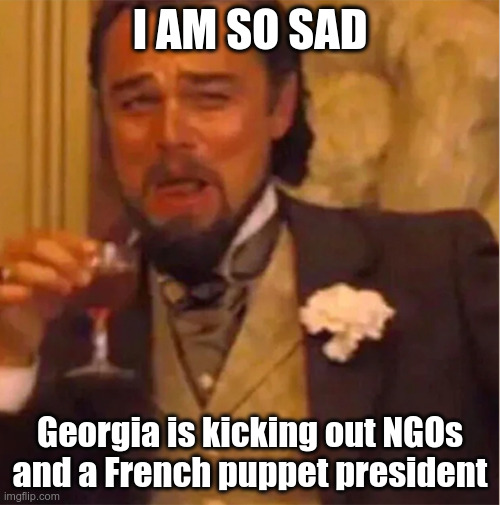 Some is starting to get it | I AM SO SAD; Georgia is kicking out NGOs and a French puppet president | image tagged in lenoardo decaprio | made w/ Imgflip meme maker