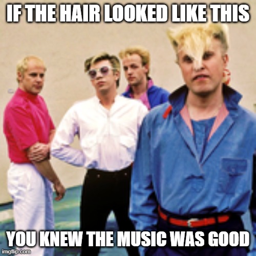 Hair | IF THE HAIR LOOKED LIKE THIS; YOU KNEW THE MUSIC WAS GOOD | image tagged in music | made w/ Imgflip meme maker