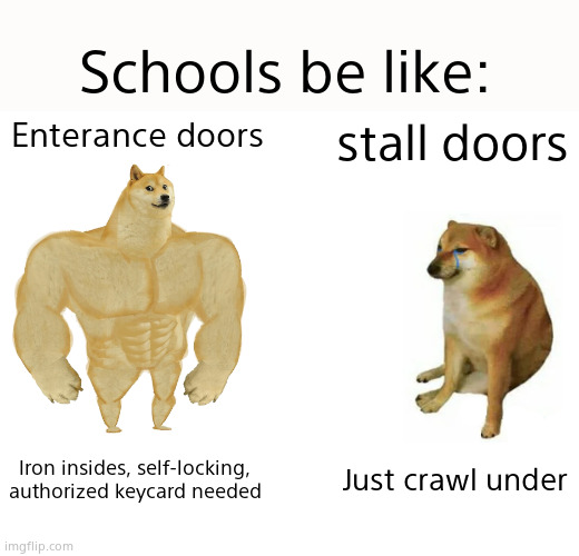 Buff Doge vs. Cheems | Schools be like:; Enterance doors; stall doors; Iron insides, self-locking, authorized keycard needed; Just crawl under | image tagged in memes,buff doge vs cheems,funny,relatable,cats,dogs | made w/ Imgflip meme maker