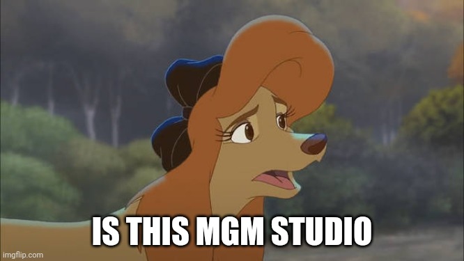 Is This MGM Studio | IS THIS MGM STUDIO | image tagged in dixie is like who are you,the fox and the hound 2,actress,hollywood,mgm | made w/ Imgflip meme maker