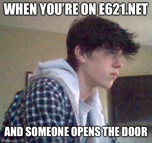 EJ OFFICIAL FACE | WHEN YOU’RE ON E621.NET; AND SOMEONE OPENS THE DOOR | image tagged in ej official face | made w/ Imgflip meme maker