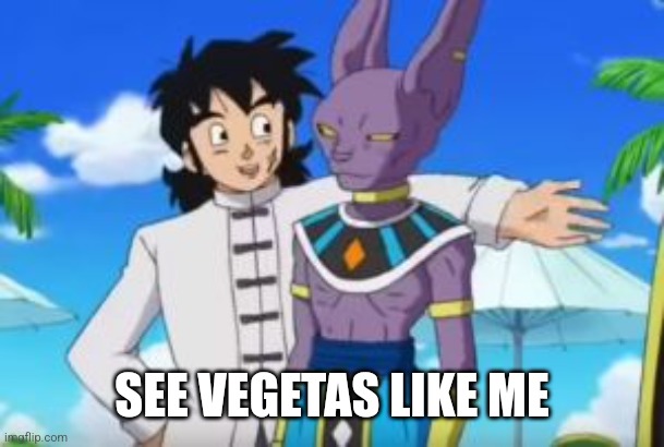 Beerus and yamcha | SEE VEGETAS LIKE ME | image tagged in beerus and yamcha | made w/ Imgflip meme maker