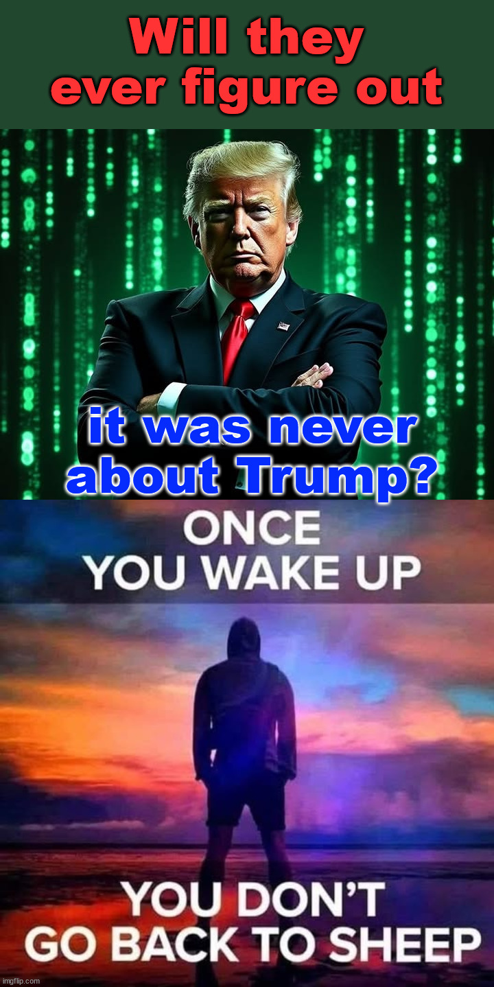 America is waking up to the truth about the status quo politics... | Will they ever figure out; it was never about Trump? | image tagged in sheep,do not want to know the truth,msm,lost control | made w/ Imgflip meme maker