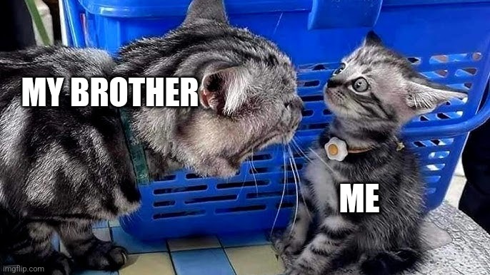 My brother made this one | MY BROTHER; ME | image tagged in mom cat mad at baby cat | made w/ Imgflip meme maker