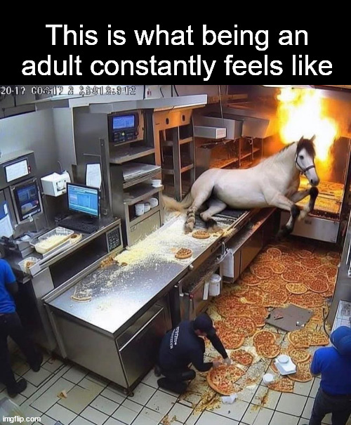 This is what being an adult constantly feels like | This is what being an adult constantly feels like | image tagged in memes | made w/ Imgflip meme maker