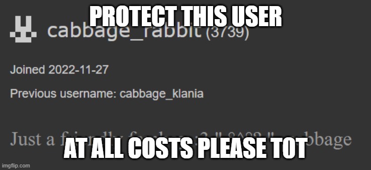 PROTECT THIS USER; AT ALL COSTS PLEASE T0T | image tagged in protection | made w/ Imgflip meme maker