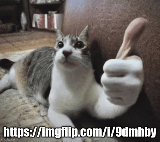 cat thumbs up | https://imgflip.com/i/9dmhby | image tagged in cat thumbs up | made w/ Imgflip meme maker